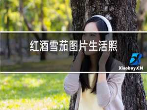 红酒雪茄图片生活照