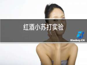 红酒小苏打实验