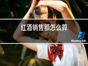 红酒销售额怎么算