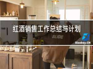 红酒销售工作总结与计划表