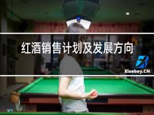 红酒销售计划及发展方向
