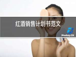 红酒销售计划书范文
