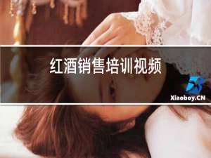 红酒销售培训视频