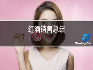红酒销售总结