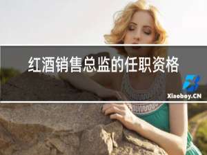 红酒销售总监的任职资格说明