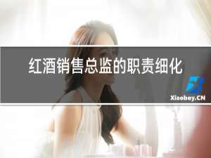 红酒销售总监的职责细化描述