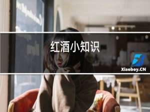 红酒小知识
