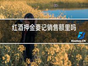 红酒押金要记销售额里吗