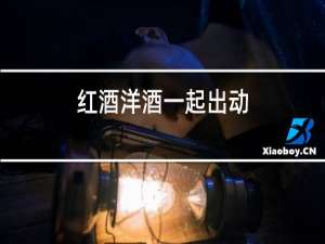 红酒洋酒一起出动