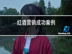 红酒营销成功案例