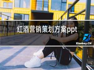 红酒营销策划方案ppt