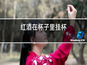 红酒在杯子里挂杯