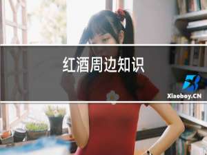 红酒周边知识