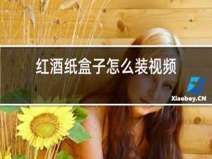 红酒纸盒子怎么装视频