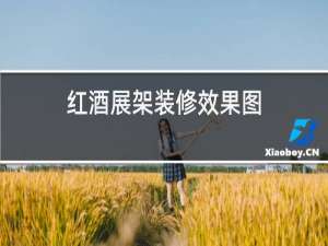 红酒展架装修效果图