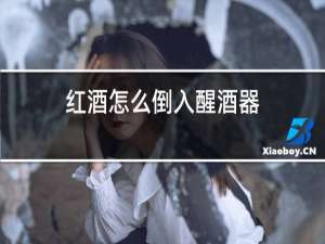 红酒怎么倒入醒酒器