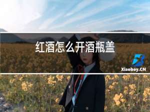 红酒怎么开酒瓶盖