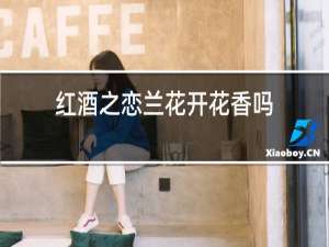 红酒之恋兰花开花香吗