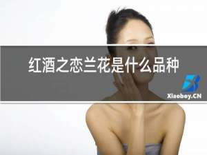 红酒之恋兰花是什么品种
