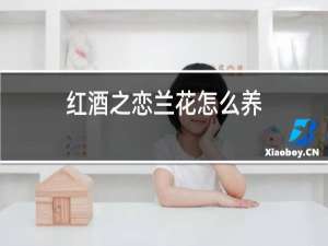 红酒之恋兰花怎么养