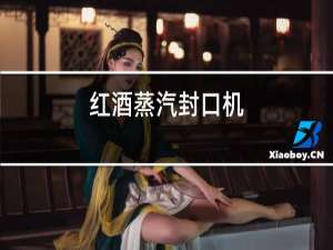 红酒蒸汽封口机
