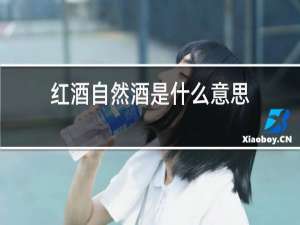 红酒自然酒是什么意思