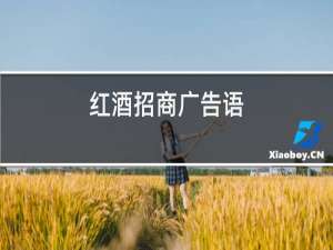红酒招商广告语