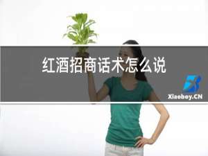 红酒招商话术怎么说