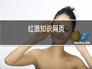 红酒知识网页