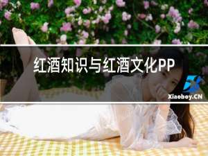 红酒知识与红酒文化PPT