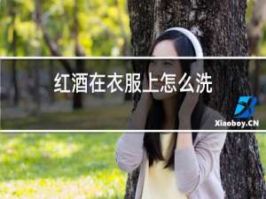 红酒在衣服上怎么洗