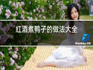红酒煮鸭子的做法大全