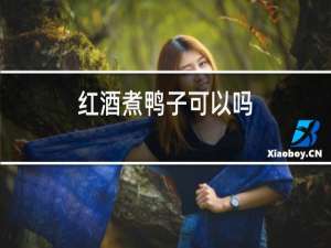 红酒煮鸭子可以吗?