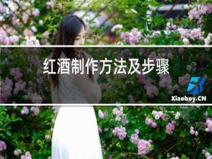 红酒制作方法及步骤