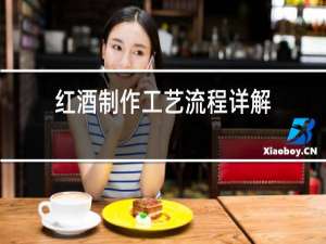 红酒制作工艺流程详解