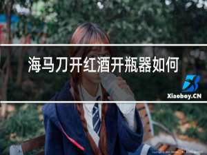 海马刀开红酒开瓶器如何使用