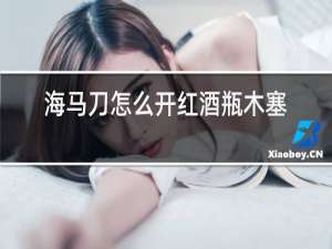 海马刀怎么开红酒瓶木塞