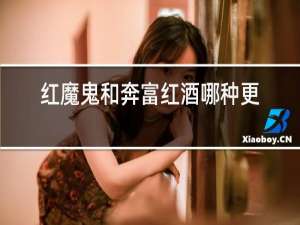 红魔鬼和奔富红酒哪种更好一些