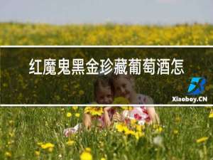 红魔鬼黑金珍藏葡萄酒怎么样