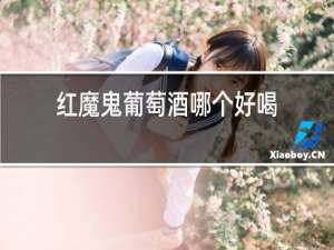 红魔鬼葡萄酒哪个好喝