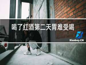 喝了红酒第二天胃难受喝点什么