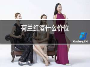 荷兰红酒什么价位