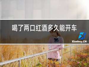 喝了两口红酒多久能开车上路