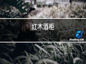红木酒柜