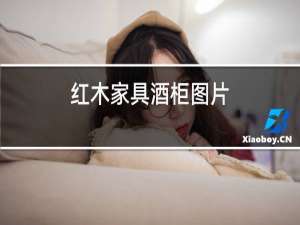 红木家具酒柜图片