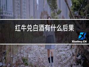 红牛兑白酒有什么后果