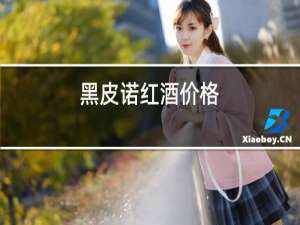 黑皮诺红酒价格