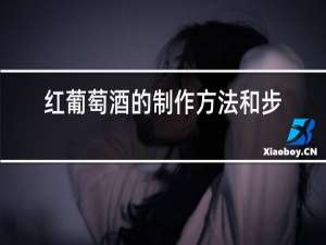 红葡萄酒的制作方法和步骤