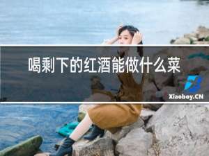 喝剩下的红酒能做什么菜