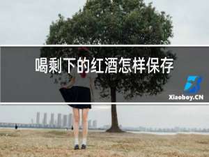 喝剩下的红酒怎样保存